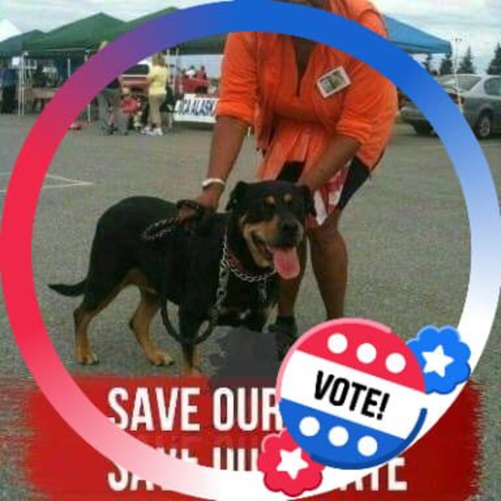 Meet your Posher, Ouida